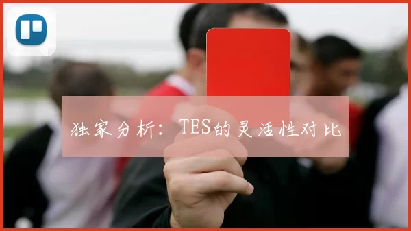 独家分析：TES的灵活性对比