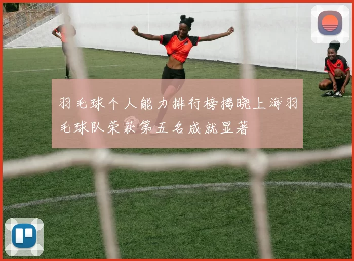 羽毛球个人能力排行榜揭晓上海羽毛球队荣获第五名成就显著